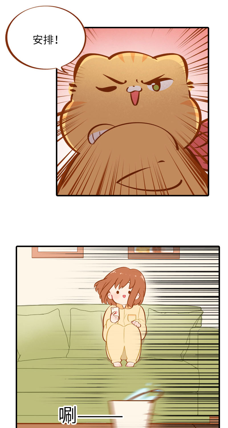 猫咪的人类饲养指南漫画,第31话 猫咪搓脚？安排！2图