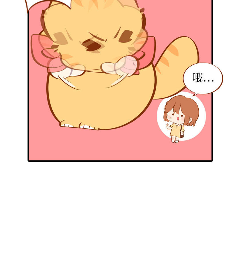 猫咪的人类饲养指南女主和医生cp漫画,第40话 养狗一日体验1图