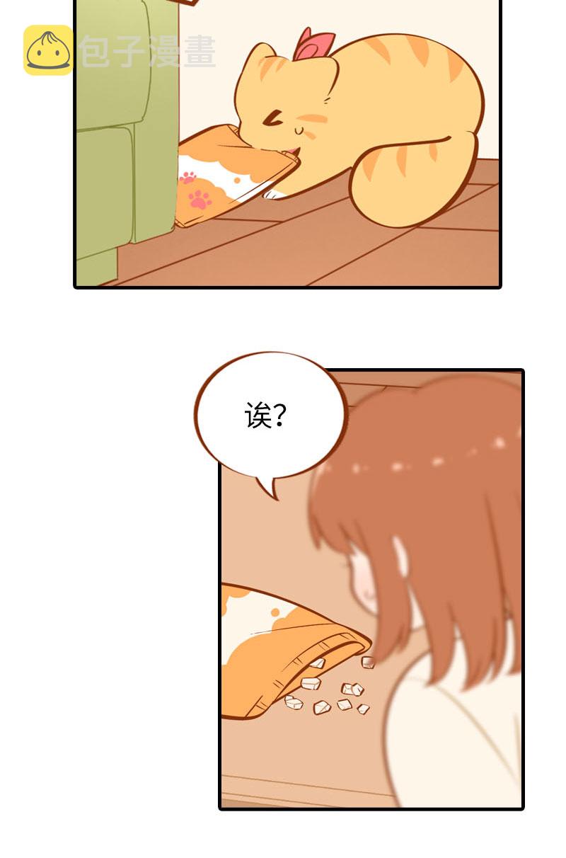猫咪的人类饲养指南女主和医生cp漫画,第22话 夜宵1图