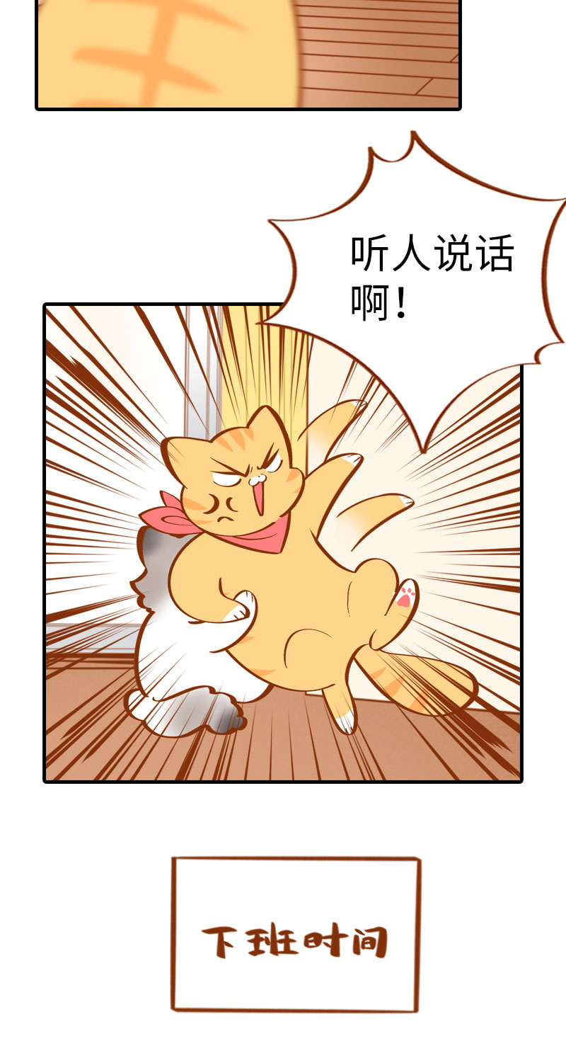 猫咪的人类饲养指南女主和医生cp漫画,第10话 名侦探橘子2图