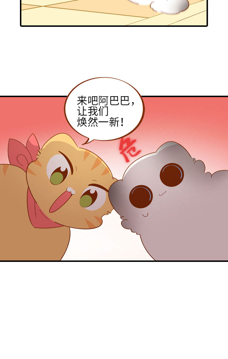 猫咪的人类饲养指南漫画,第58话 橘子和阿巴巴风格转换！1图