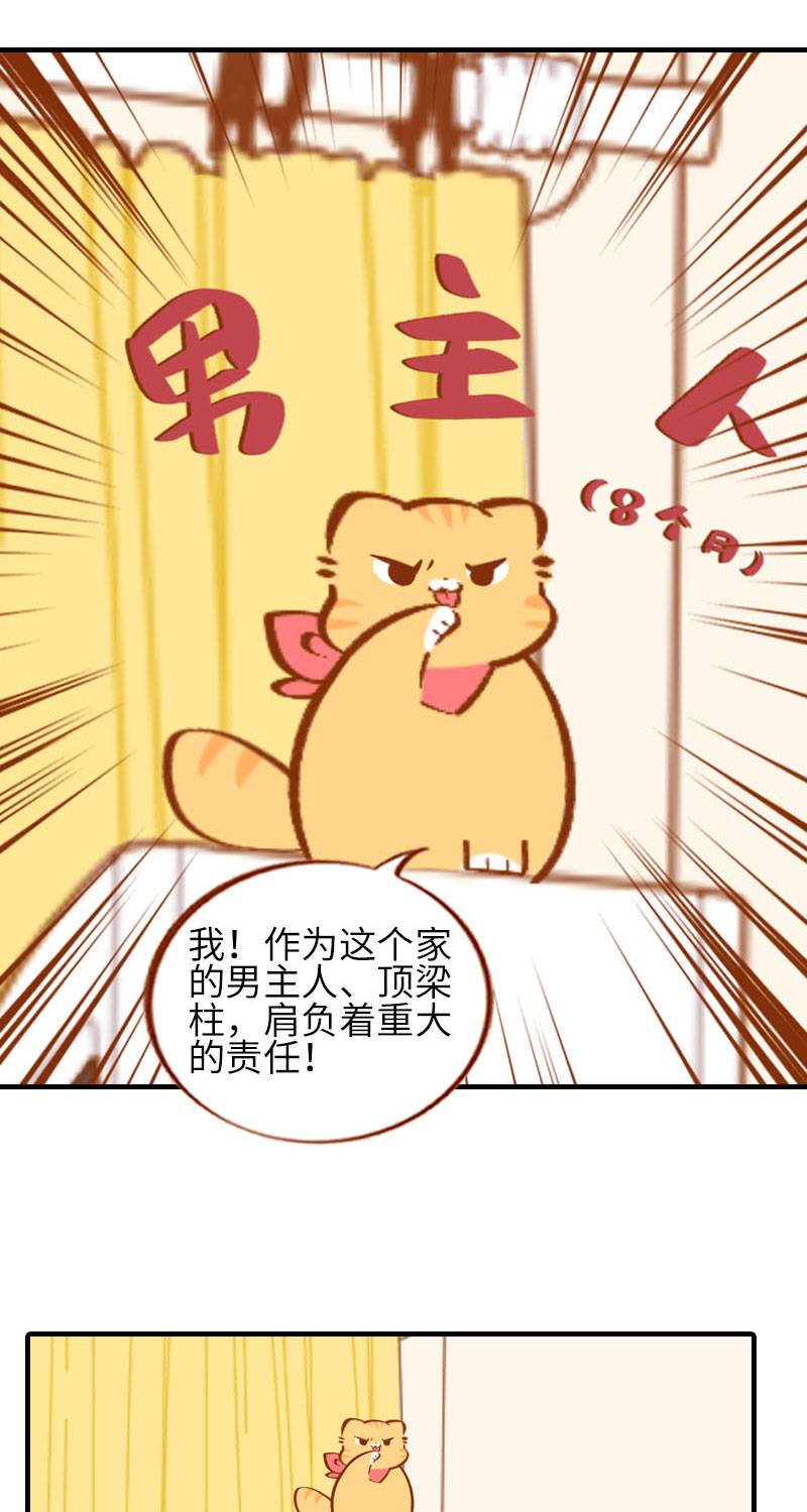 猫咪的人类饲养指南漫画,第37话 最没排面的男主人1图