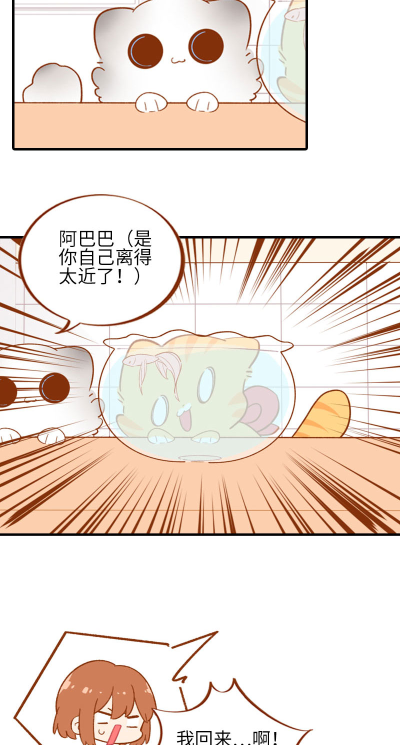 猫咪的人类饲养指南漫画,第57话 谁还吃观赏鱼啊~1图