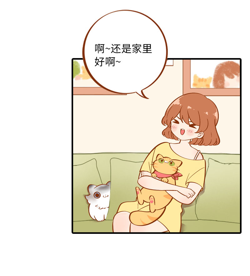 猫咪的人类饲养指南女主和医生cp漫画,第3话 不是我要吃肉是你吃蔬菜2图