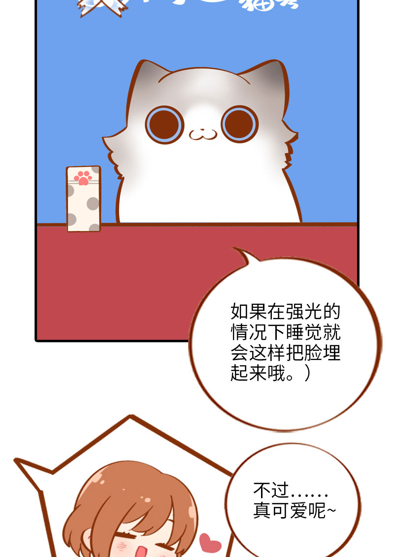 猫咪的人类饲养指南女主和医生cp漫画,第12话 橘子低头2图
