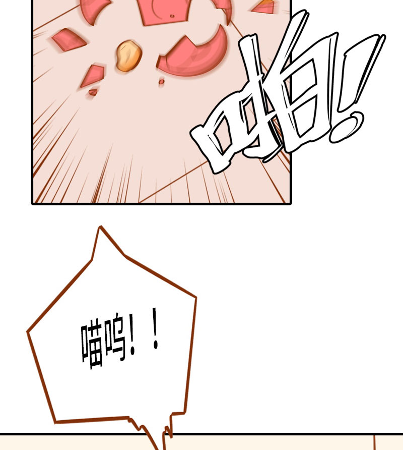 猫咪的人类饲养指南女主和医生cp漫画,第2话 不是我要吃肉是你吃蔬菜1图