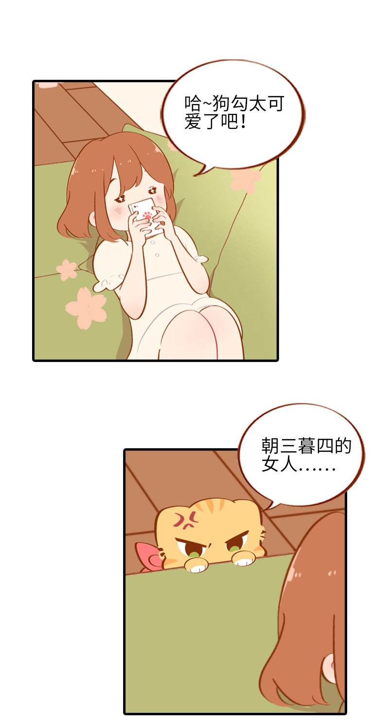猫咪的人类饲养指南漫画,第40话 养狗一日体验2图