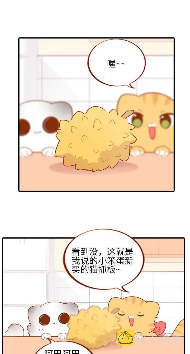 猫咪的人类饲养指南漫画,第59话 来口榴莲2图