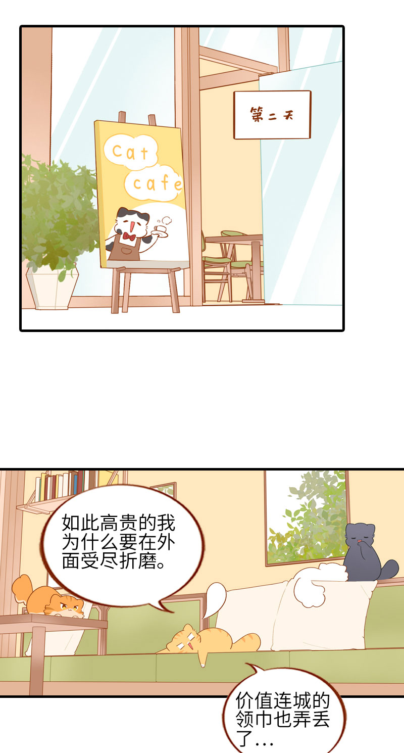 猫咪的人类饲养指南漫画,第50话 以爲自己被抛弃的橘子2图