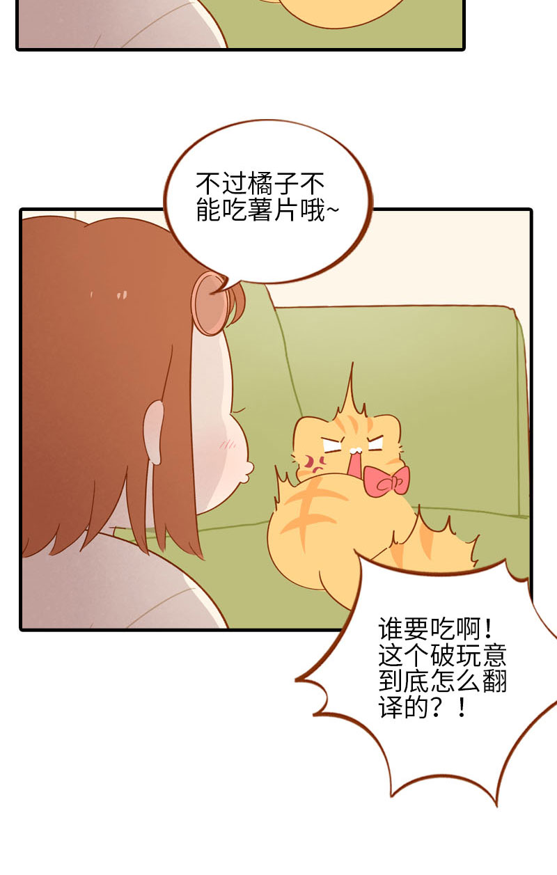 猫咪的人类饲养指南漫画,第53话 猫咪翻译机1图
