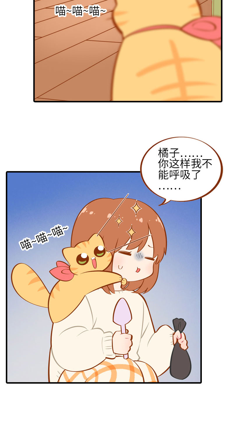 猫咪的人类饲养指南漫画,第21话 橘子黑历史2图