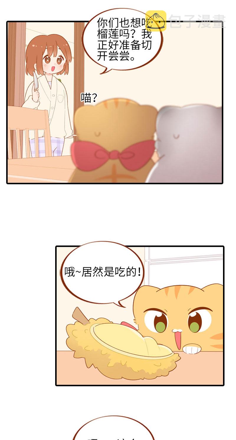 猫咪的人类饲养指南女主和医生cp漫画,第59话 来口榴莲1图