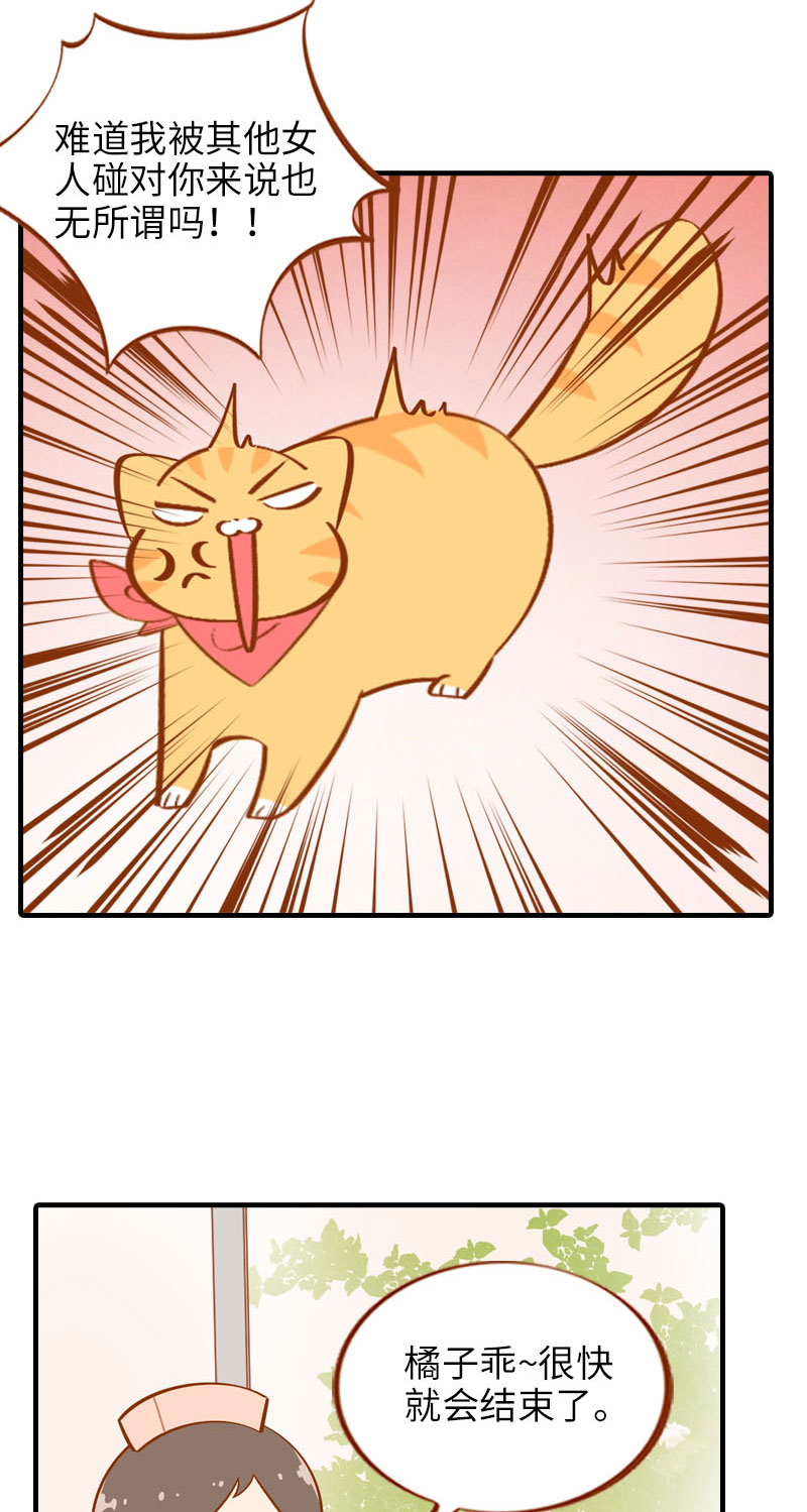 猫咪的人类饲养指南漫画,第18话 宠物医院初体验2图