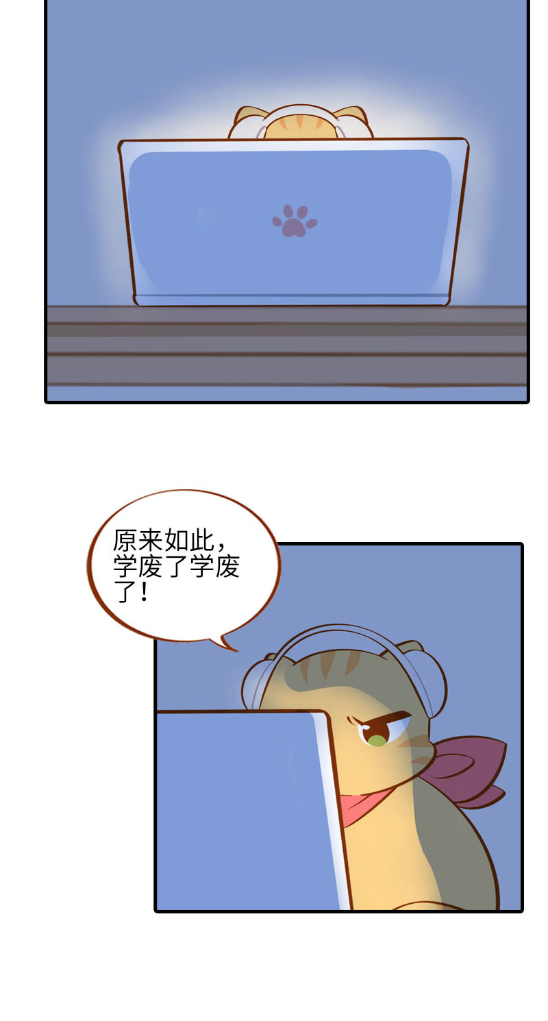 猫咪的人类饲养指南漫画,第40话 养狗一日体验2图