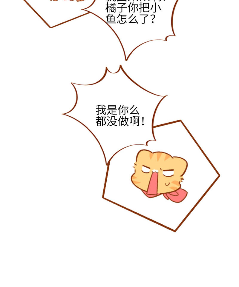 猫咪的人类饲养指南漫画,第57话 谁还吃观赏鱼啊~2图