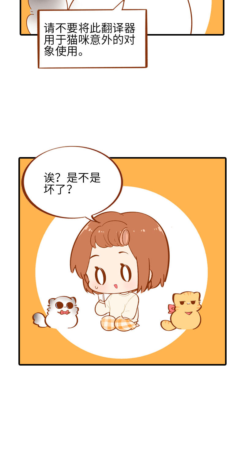 猫咪的人类饲养指南漫画,第53话 猫咪翻译机1图