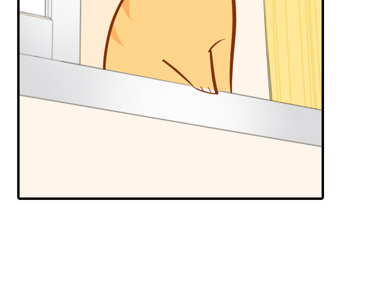 猫咪的人类饲养指南漫画,第7话 你认错了吗？2图
