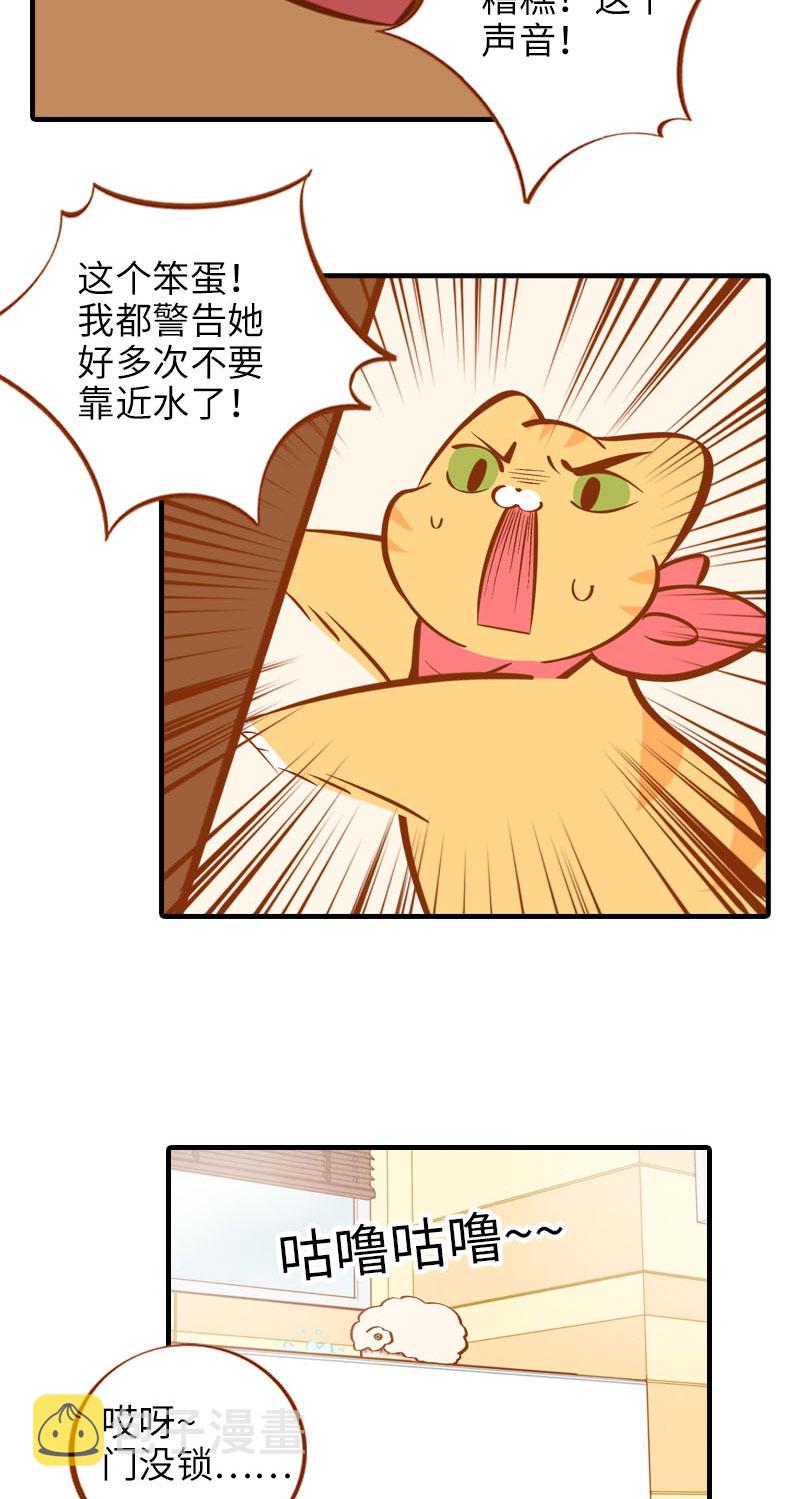 猫咪的人类饲养指南漫画,第14话 泡澡1图