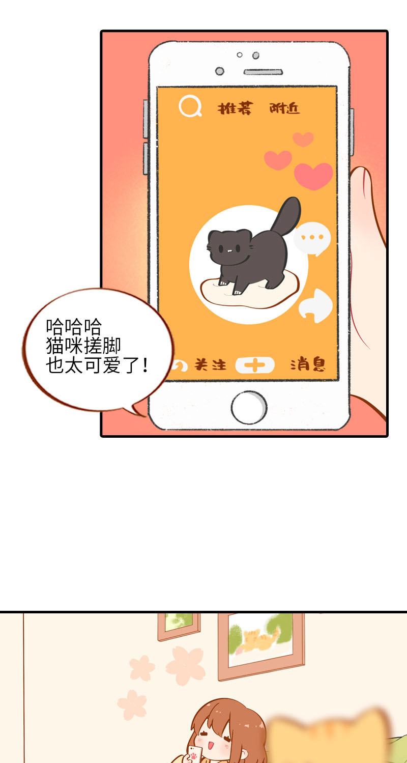 猫咪的人类饲养指南漫画,第31话 猫咪搓脚？安排！2图
