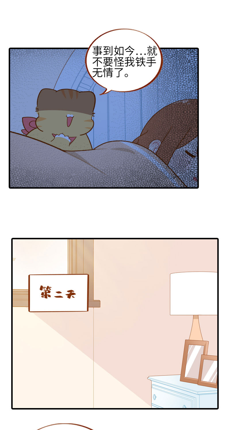 猫咪的人类饲养指南女主和医生cp漫画,第52话 橘爷深夜嘿嘿嘿…2图