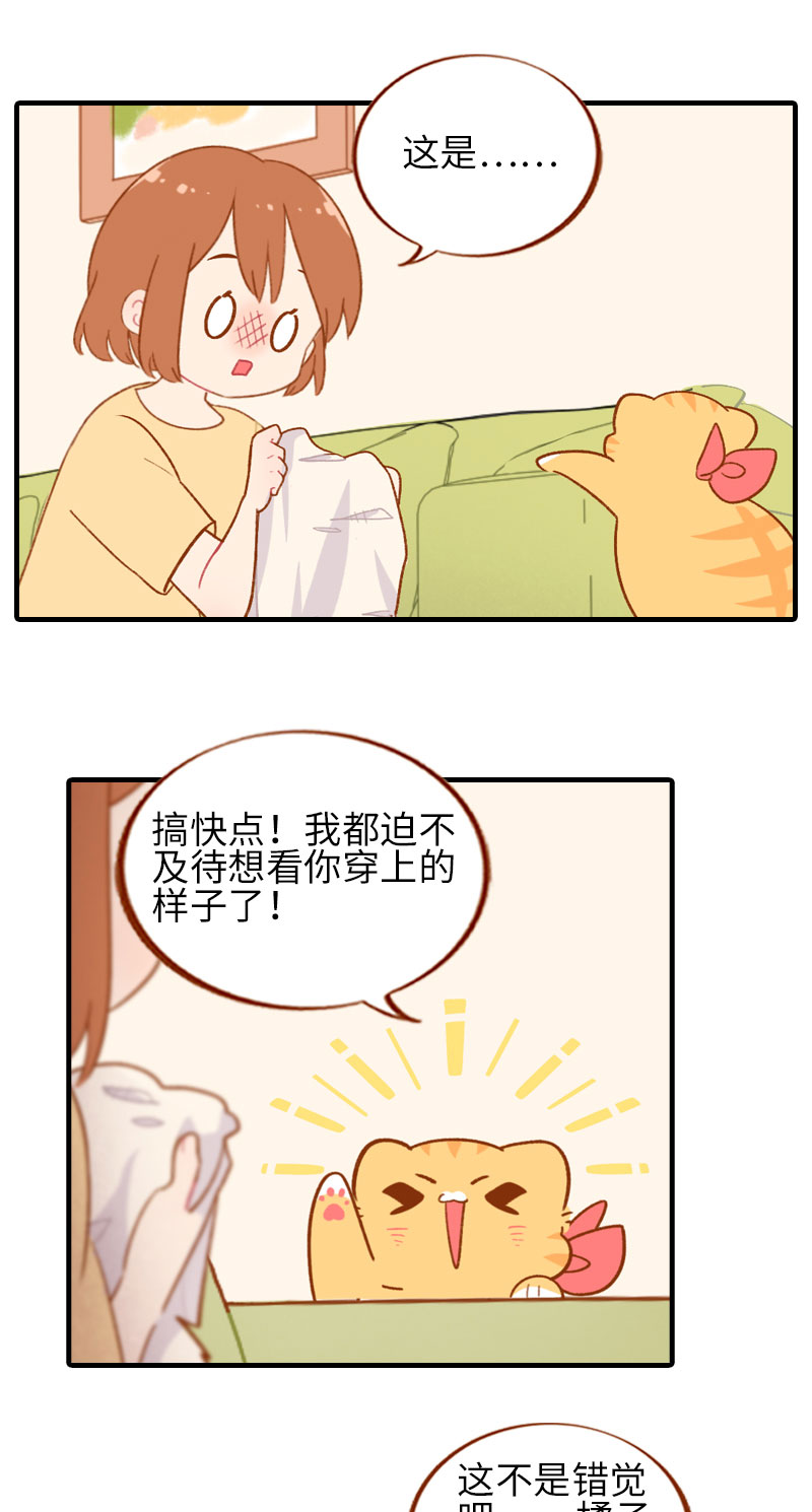 猫咪的人类饲养指南漫画,第45话 新风格大尝试2图