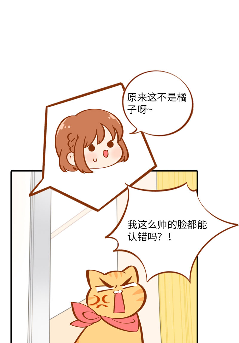 猫咪的人类饲养指南漫画,第7话 你认错了吗？1图