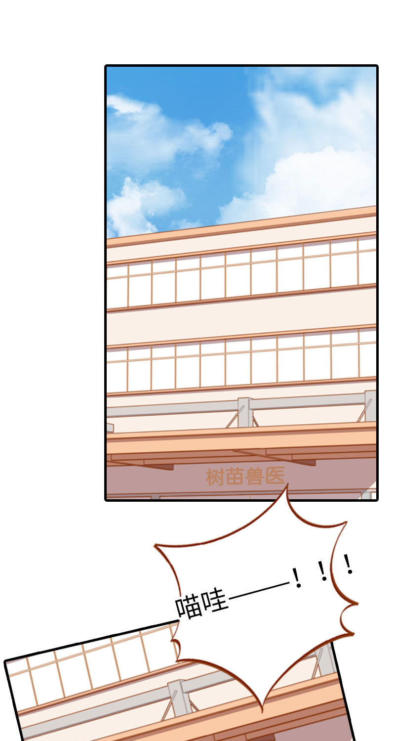 猫咪的人类饲养指南漫画,第18话 宠物医院初体验2图
