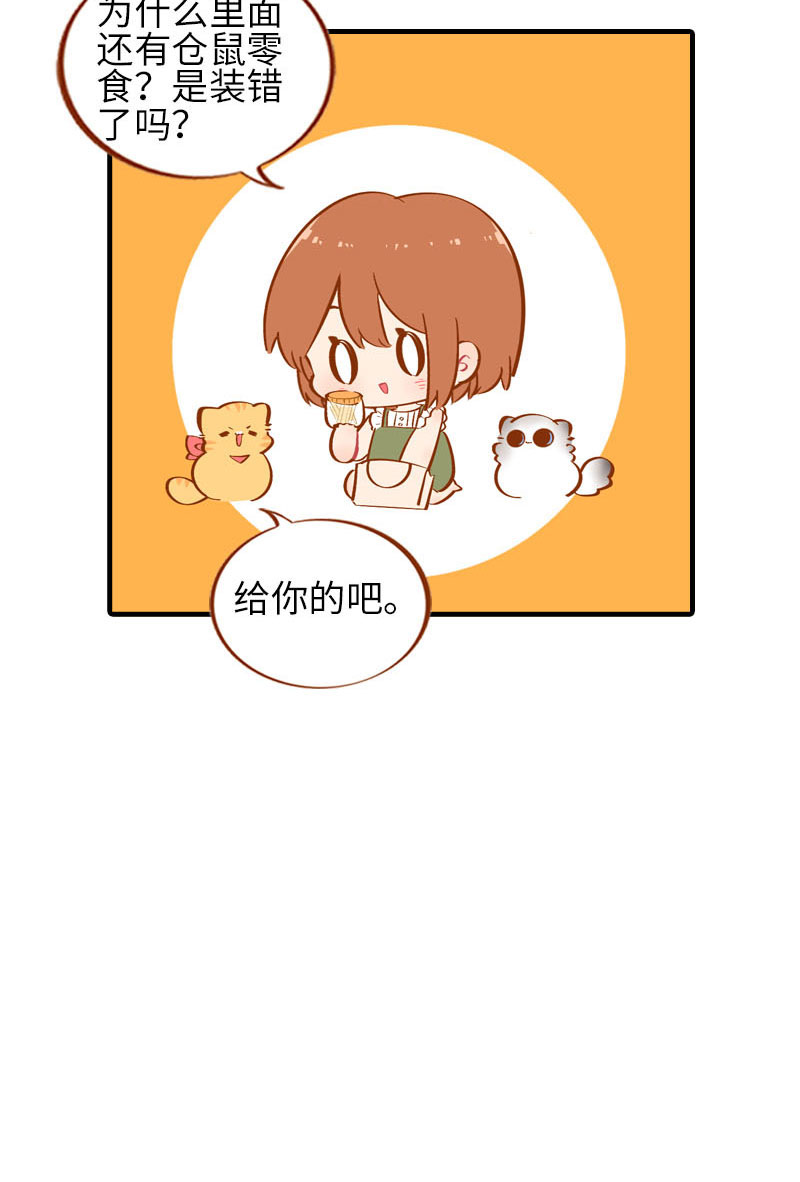 猫咪的人类饲养指南女主和医生cp漫画,第42话 我又回来了1图
