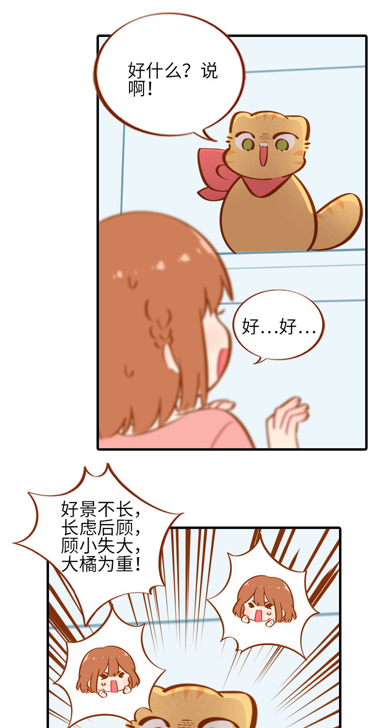 猫咪的人类饲养指南女主和医生cp漫画,第35话 橘子和阿巴巴的初次见面2图