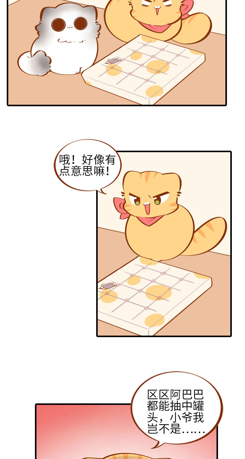 猫咪的人类饲养指南漫画,第38话 抽个盲盒1图