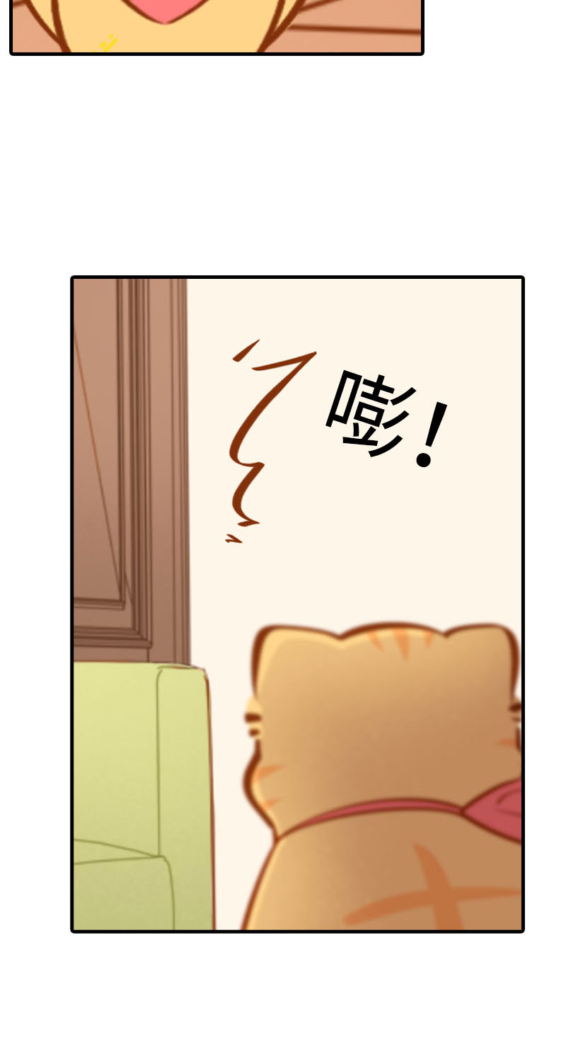 猫咪的人类饲养指南漫画,第37话 最没排面的男主人1图