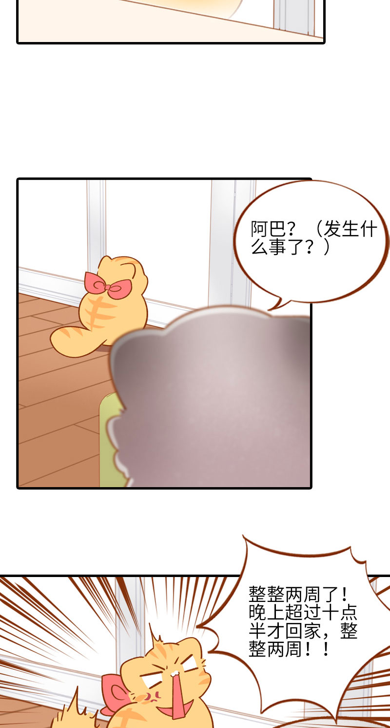 猫咪的人类饲养指南漫画,第52话 橘爷深夜嘿嘿嘿…1图