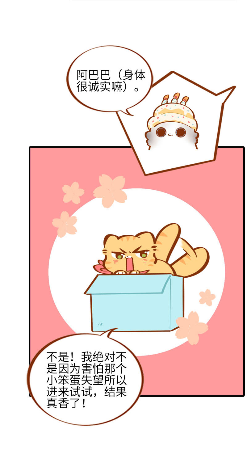 猫咪的人类饲养指南漫画,第32话 橘子来拆礼物了！2图