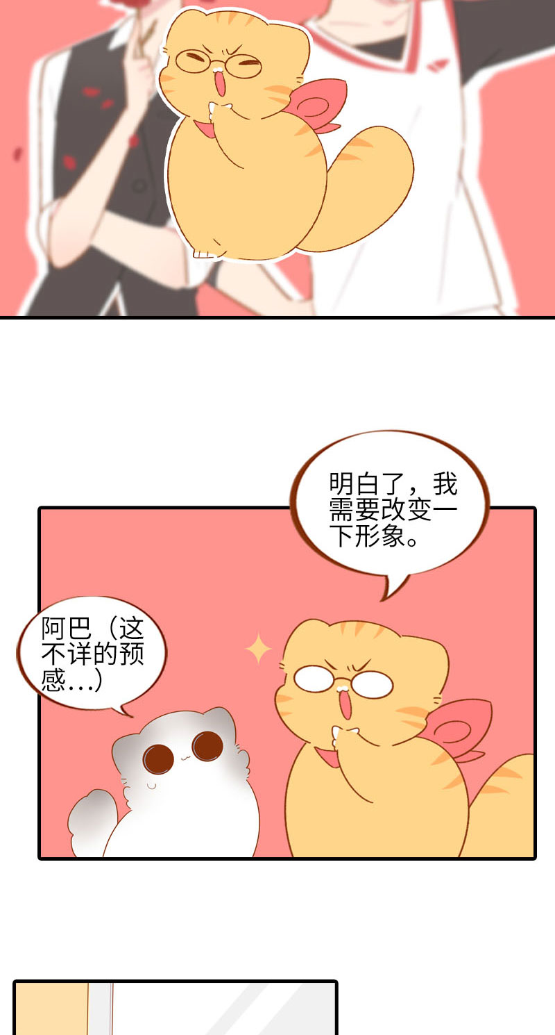 猫咪的人类饲养指南漫画,第58话 橘子和阿巴巴风格转换！2图