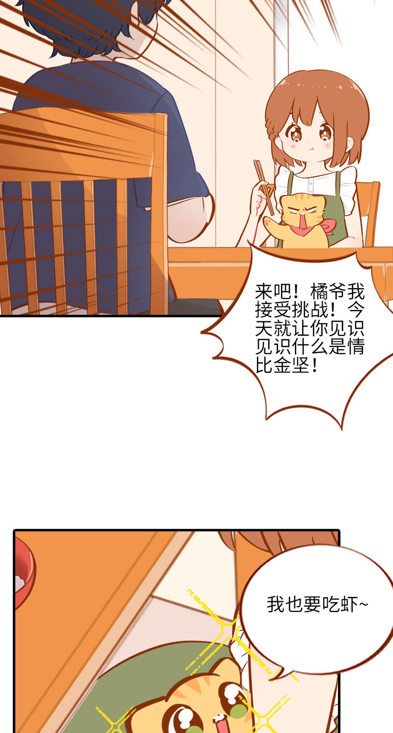 猫咪的人类饲养指南漫画,第42话 我又回来了1图