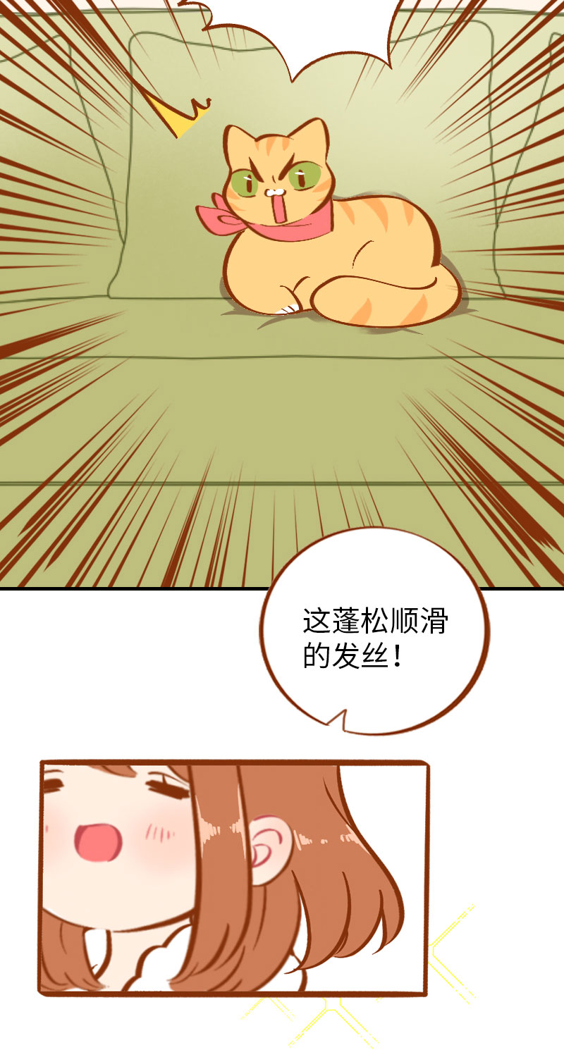 猫咪的人类饲养指南女主和医生cp漫画,第6话 Tony橘开始洗头1图