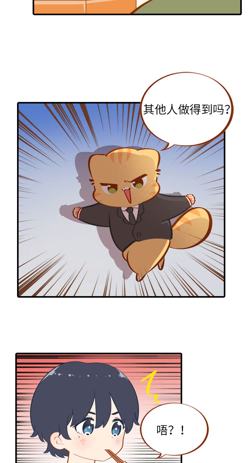 猫咪的人类饲养指南漫画,第42话 我又回来了1图