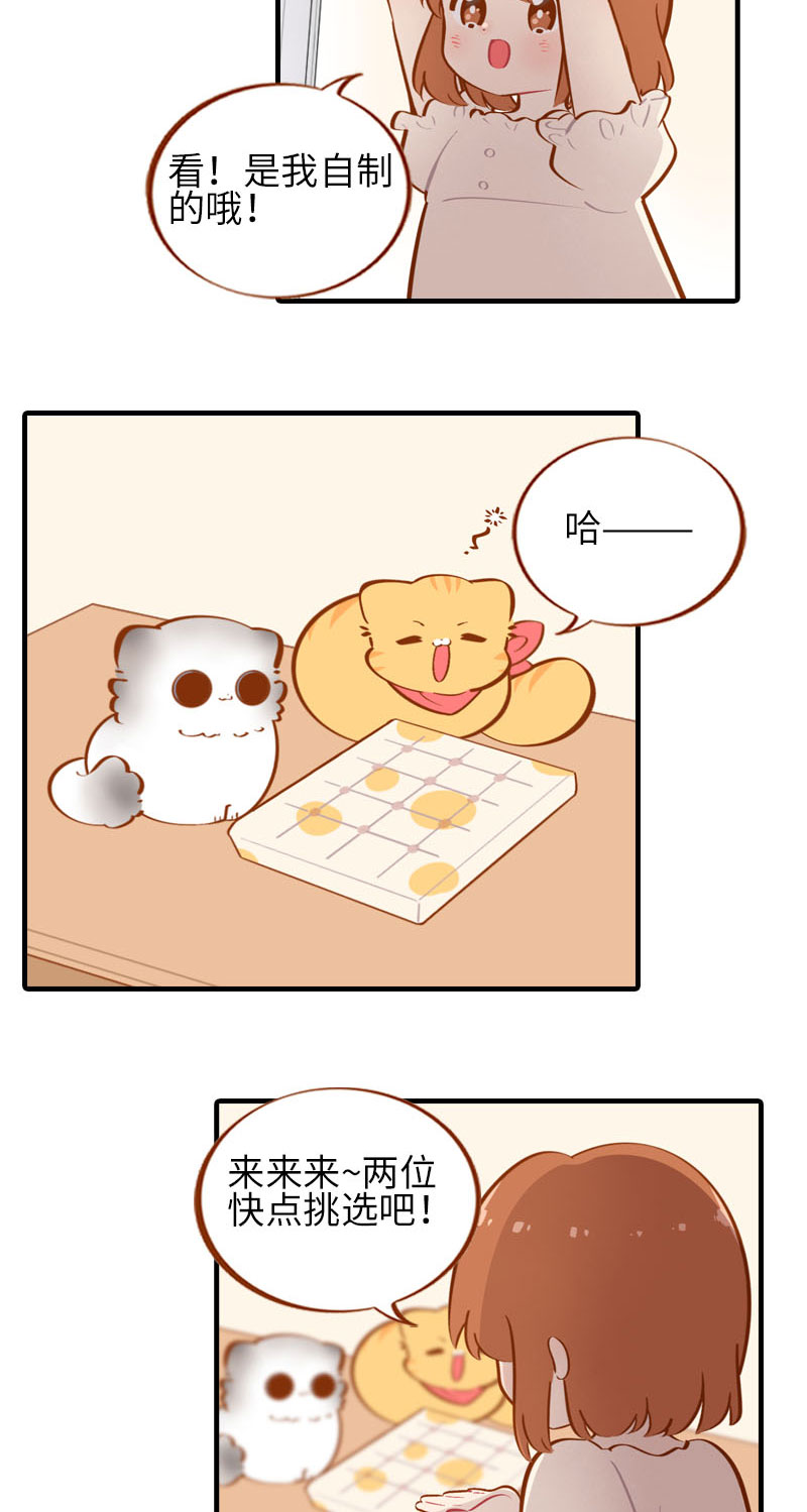 猫咪的人类饲养指南漫画,第38话 抽个盲盒1图