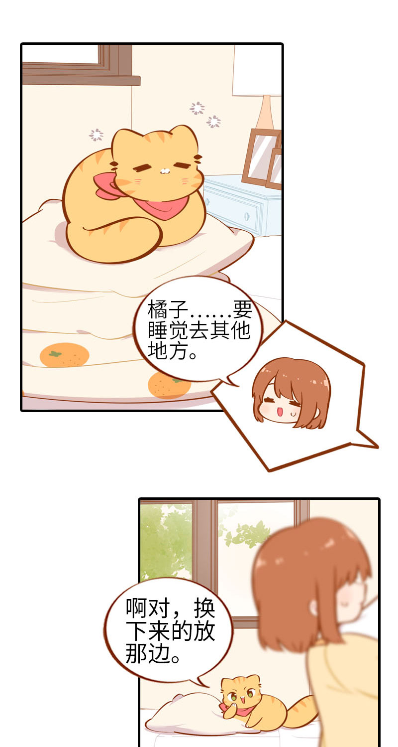 猫咪的人类饲养指南女主和医生cp漫画,第28话 热衷参与家事的男主人2图
