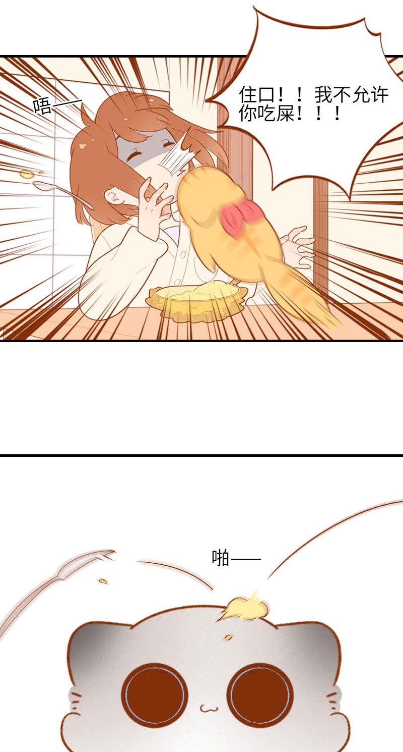 猫咪的人类饲养指南女主和医生cp漫画,第59话 来口榴莲1图