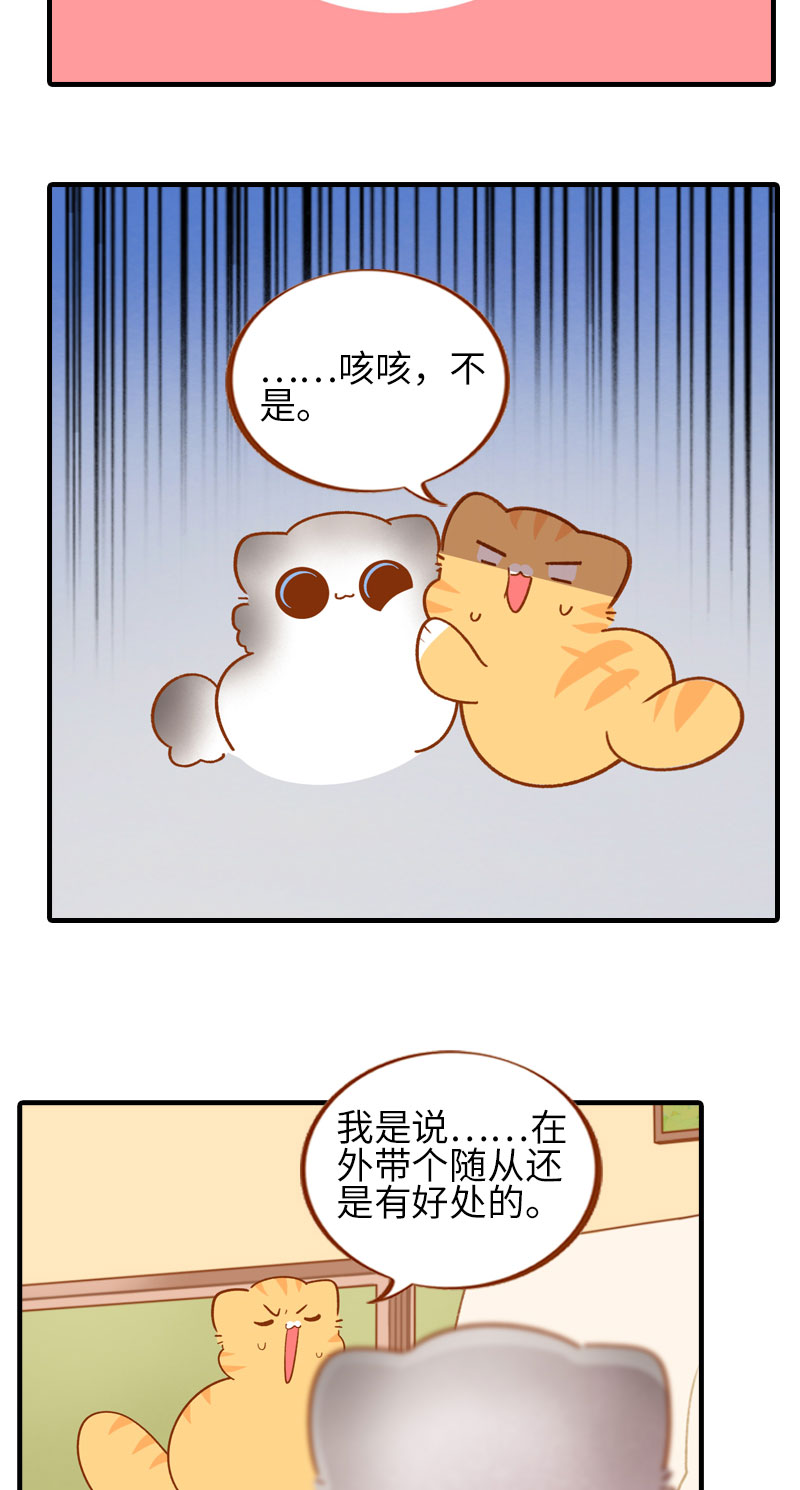 猫咪的人类饲养指南漫画,第50话 以爲自己被抛弃的橘子2图