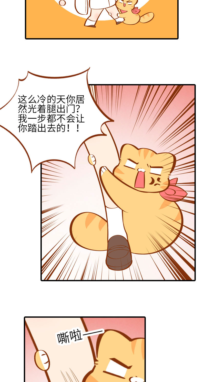 猫咪的人类饲养指南女主和医生cp漫画,第23话 光腿神器2图