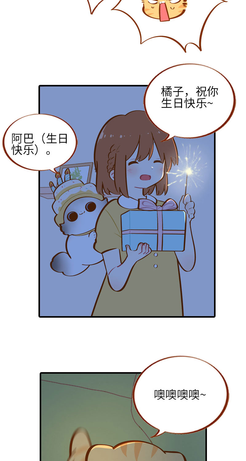猫咪的人类饲养指南漫画,第32话 橘子来拆礼物了！1图