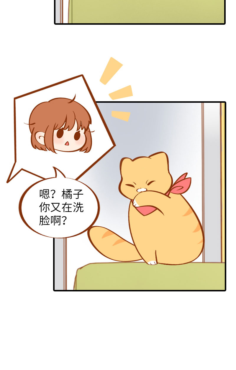 猫咪的人类饲养指南女主和医生cp漫画,第10话 名侦探橘子1图