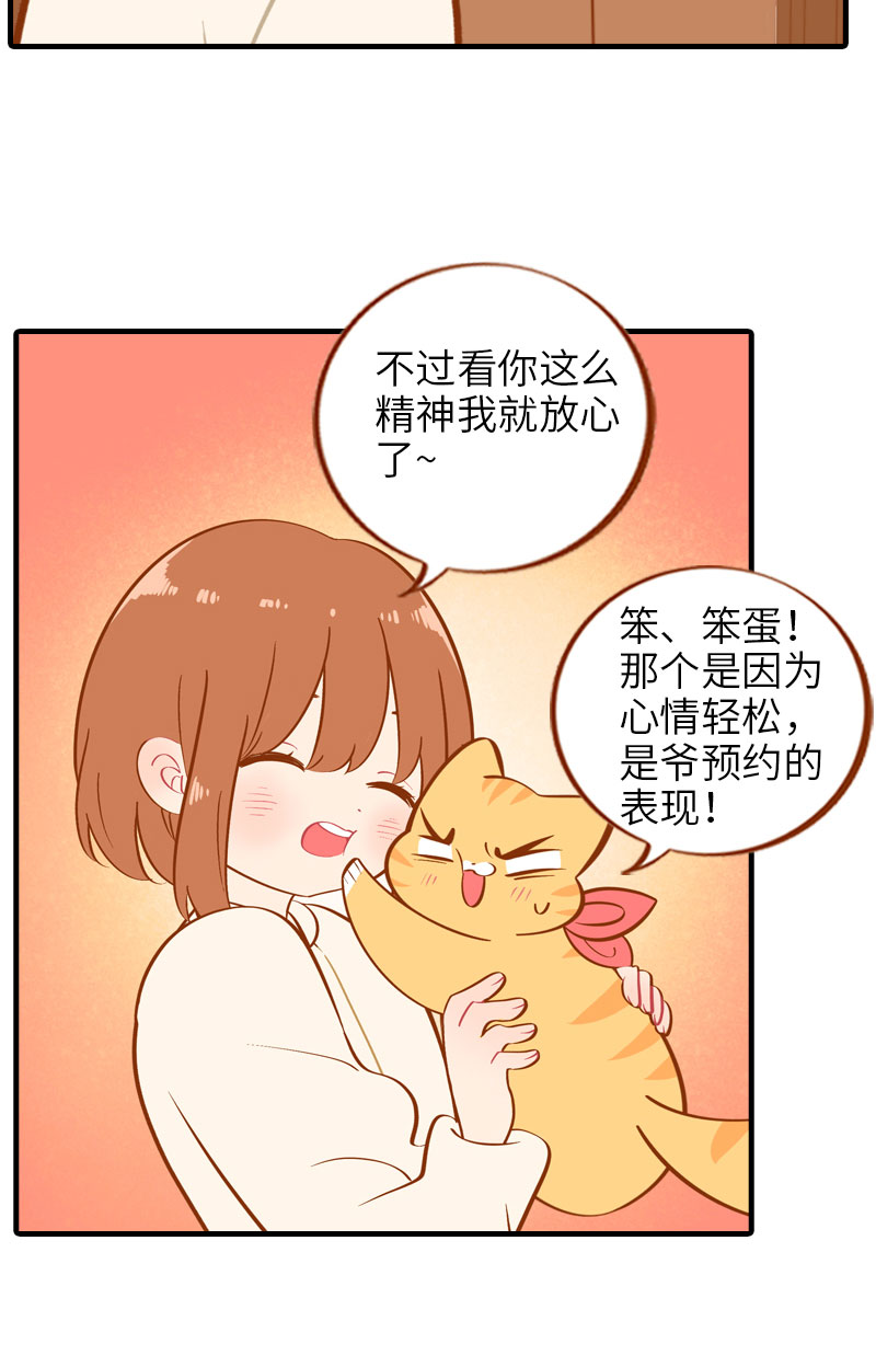 猫咪的人类饲养指南女主和医生cp漫画,第13话 橘子呼噜呼噜1图
