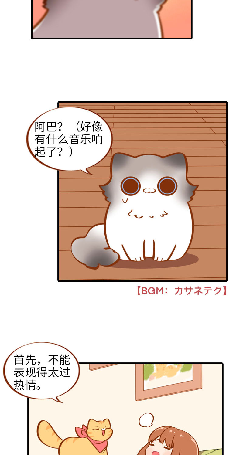 猫咪的人类饲养指南漫画,第17话 橘子的自我攻略1图