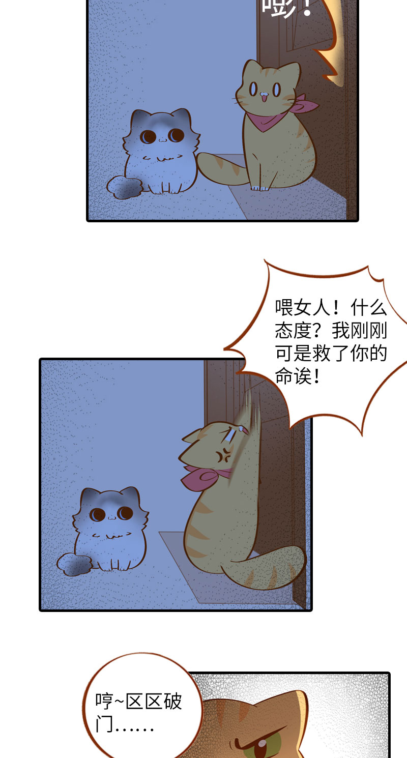 猫咪的人类饲养指南漫画,第11话 太好了你还活着！2图