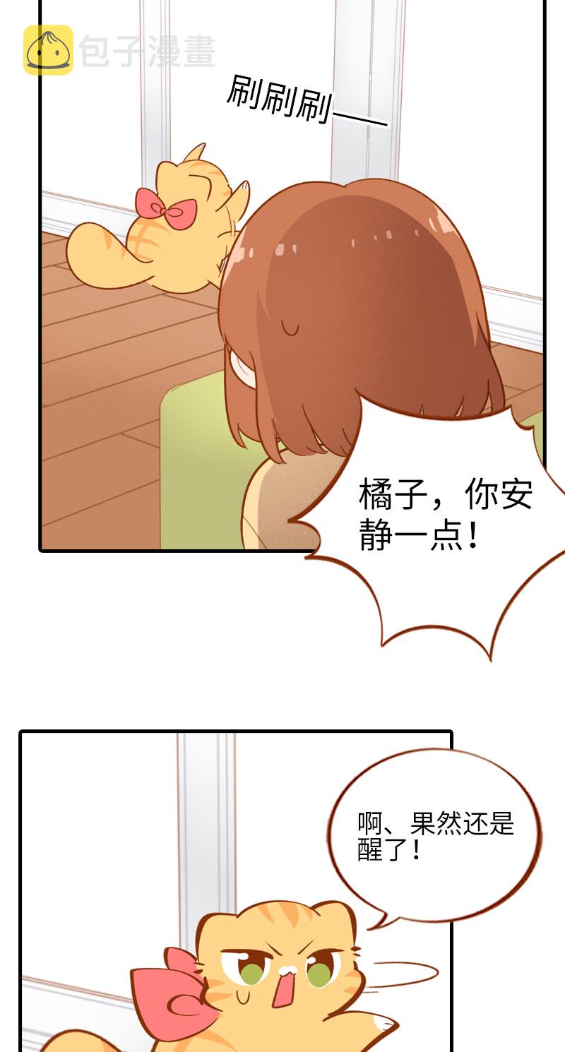 猫咪的人类饲养指南漫画,第43话 正道的光1图