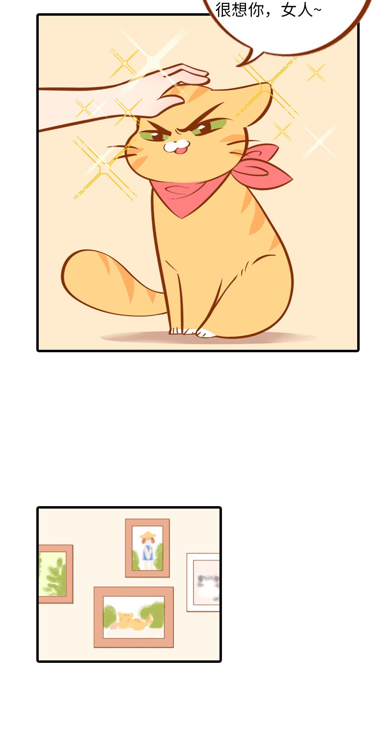 猫咪的人类饲养指南女主和医生cp漫画,第3话 不是我要吃肉是你吃蔬菜1图