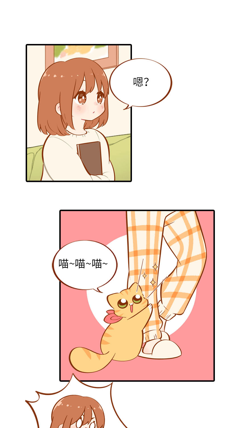 猫咪的人类饲养指南漫画,第21话 橘子黑历史2图
